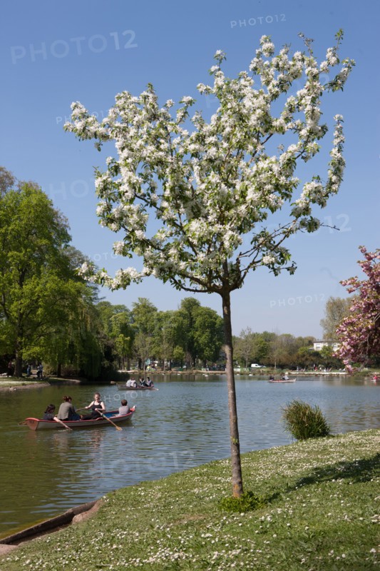Bois De Vincennes, Lac Daumesnil