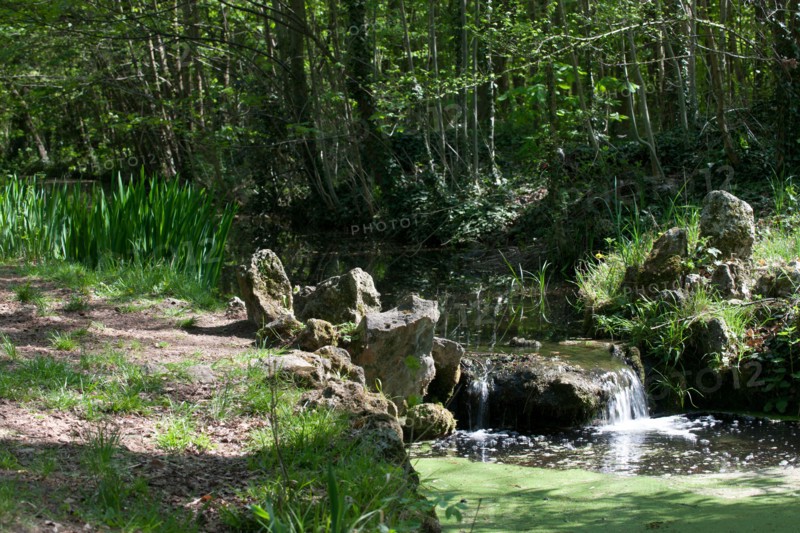 Bois De Vincennes, pathway