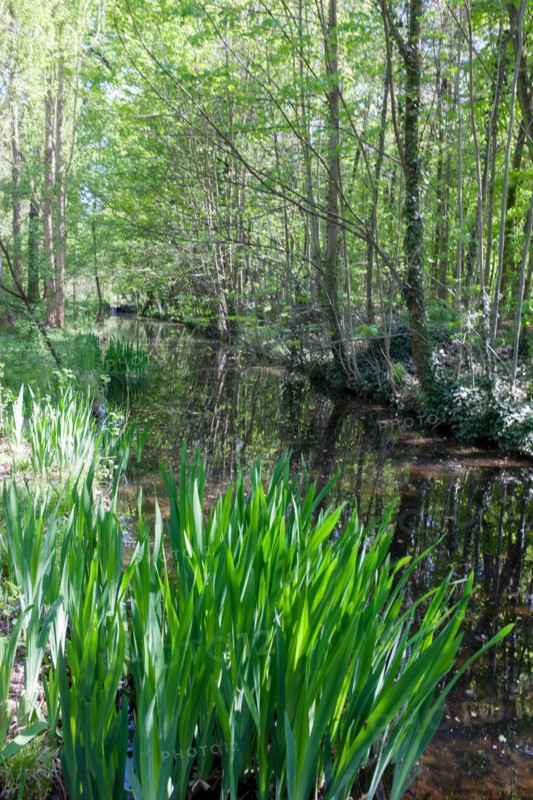 Bois De Vincennes, Allee
