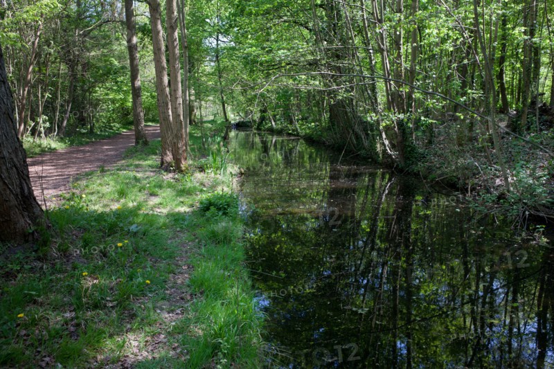 Bois De Vincennes, Allee