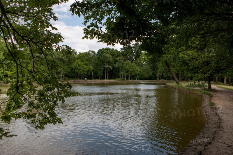 Bois De Boulogne,Etang Du Reservoir