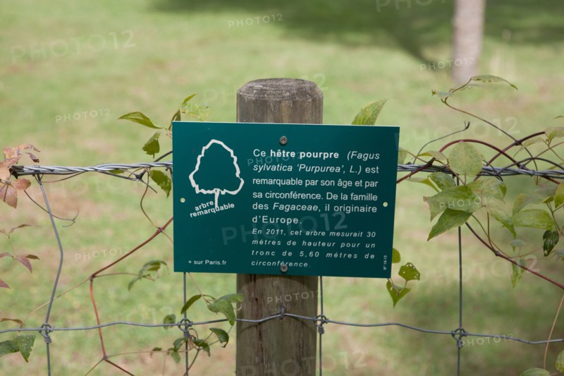 Bois De Boulogne, Le Pré Catelan