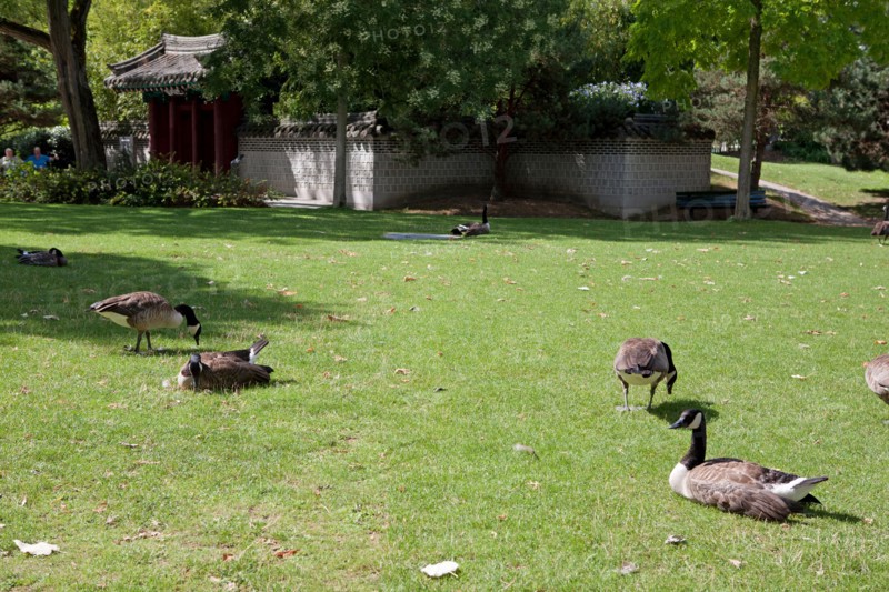 Jardin d'Acclimatation,