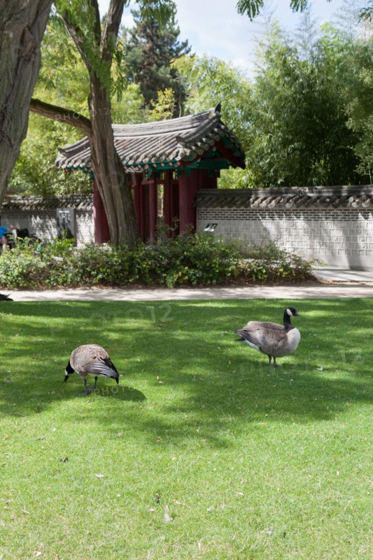 Neuilly sur Seine, Jardin d'Acclimatation