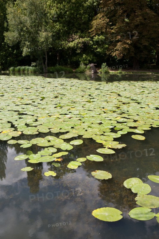 Domaine De Longchamp,Etang De Longchamp