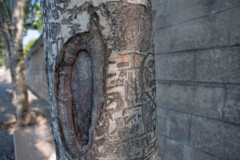 Quai Francois Mitterrand (Quai Des Tuileries) Berges de Seine, Arbre Grave De Messages D'Amour