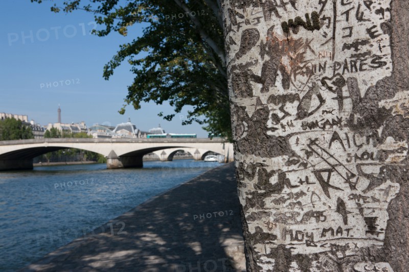 Quai Francois Mitterrand (Quai Des Tuileries) Berges de Seine, Arbre Grave De Messages D'Amour