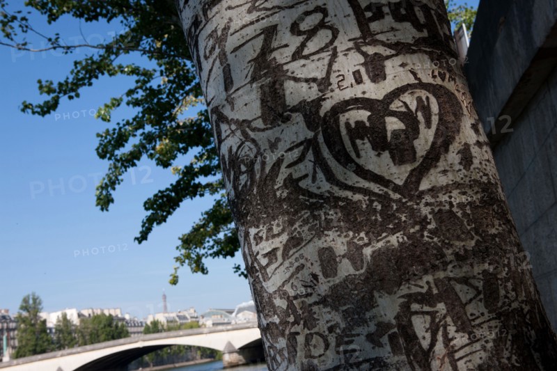 Quai Francois Mitterrand (Quai Des Tuileries) Berges de Seine, Arbre Grave De Messages D'Amour