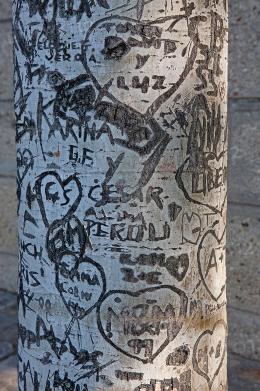 Quai Francois Mitterrand (Quai Des Tuileries) Berges de Seine, Arbre Grave De Messages D'Amour