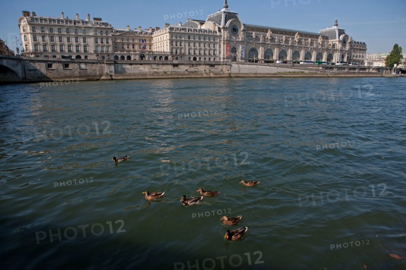 Quai Des Tuileries, Face Au Musée D'Orsay