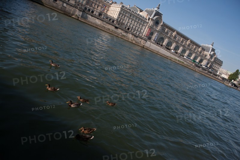 Quai Des Tuileries, Face Au Musée D'Orsay