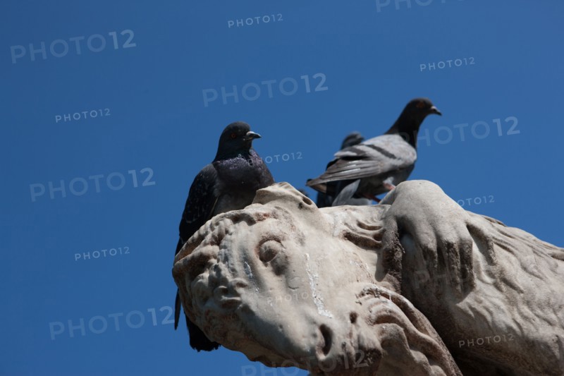 Palais Royal, Jardins du Palais Royal