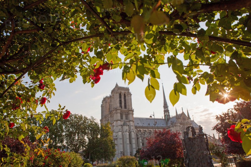 Square Rene Viviani, Face A Notre Dame De Paris
