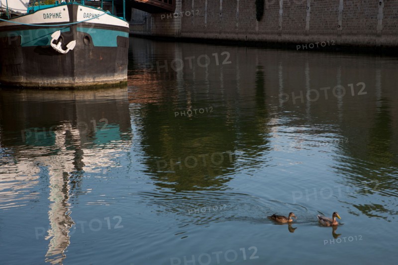 Quai De La Tournelle, Rive Gauche