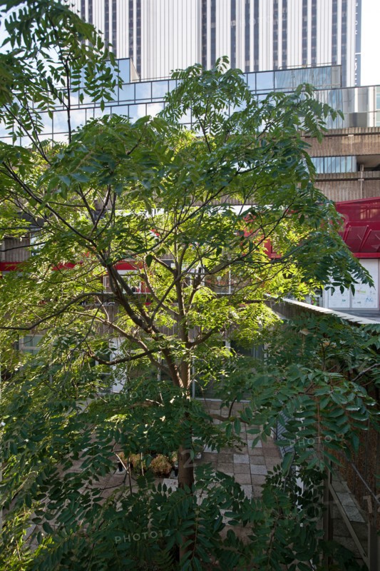 Montparnasse,Avenue du Maine