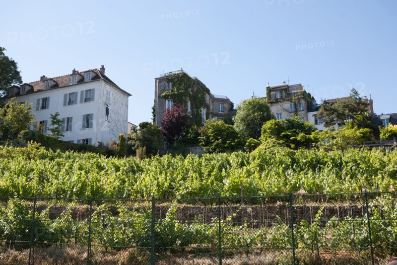 Montmartre, Rue Saint Vincent