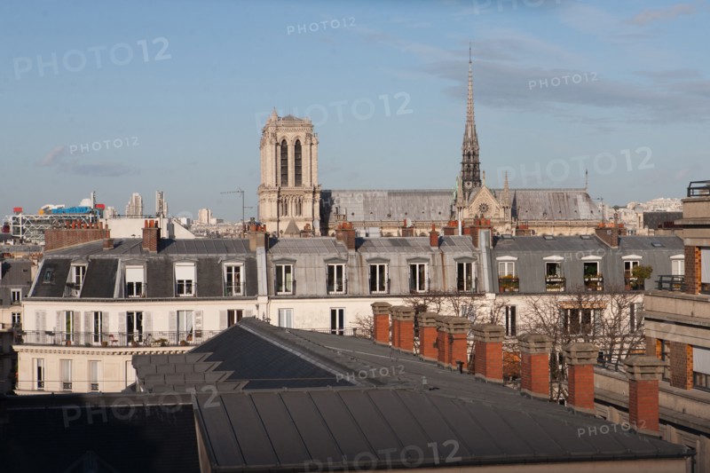 Notre-Dame de Paris Cathedral