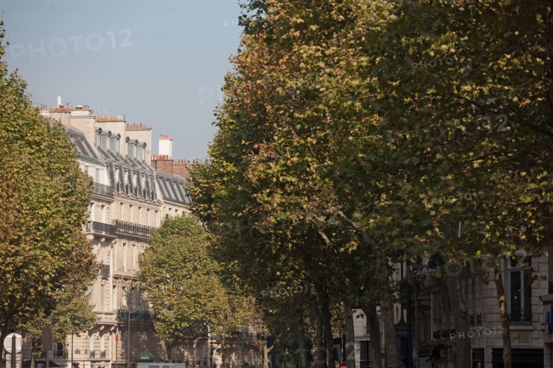 Boulevard Saint Germain