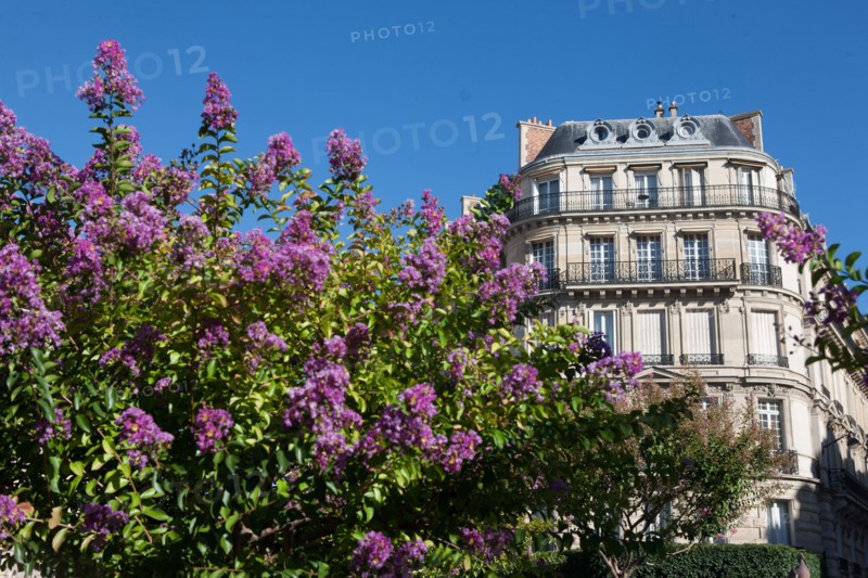 8e Arrondissement,