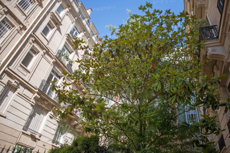17e Arrondissement, 7 rue Edouard Detaille