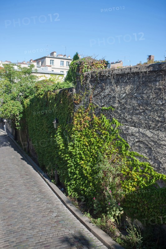 18e Arrondissement, Rue Saint Vincent