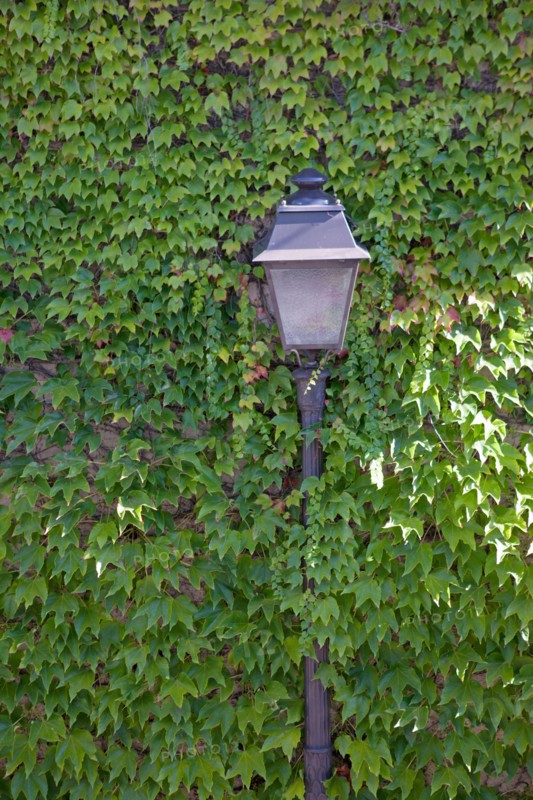 18e Arrondissement, Rue Saint Vincent