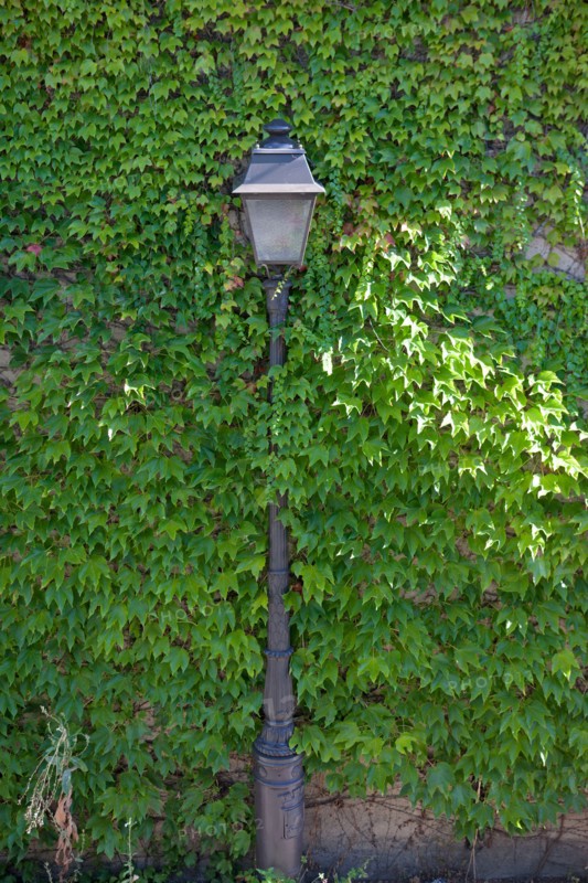 18e Arrondissement, Rue Saint Vincent