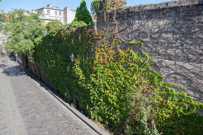18e Arrondissement, Rue Saint Vincent
