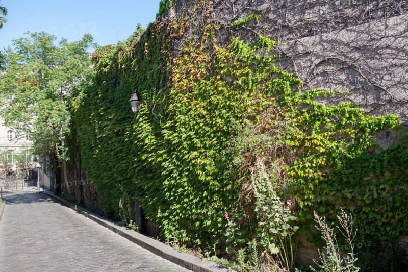 18e Arrondissement, Rue Saint Vincent