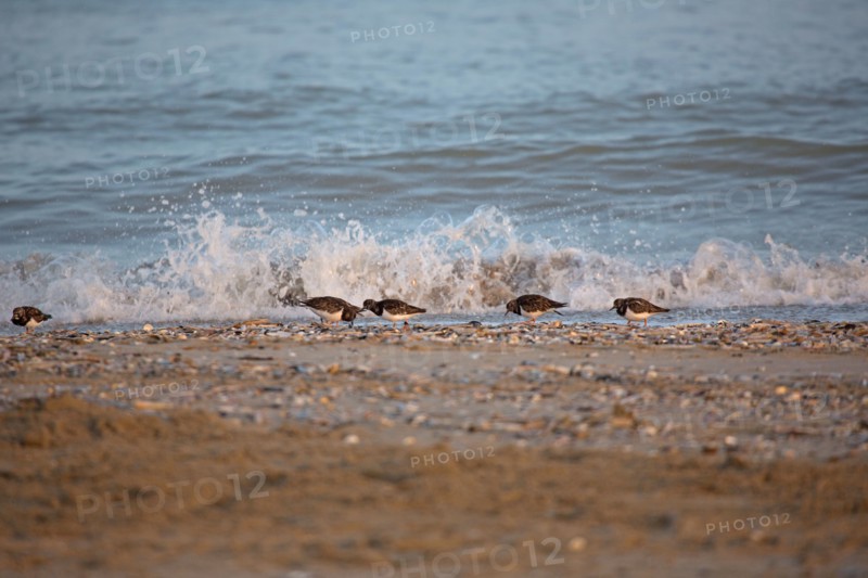 Deauville hors saison