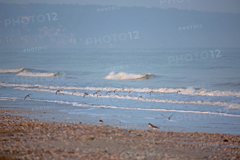 Deauville hors saison