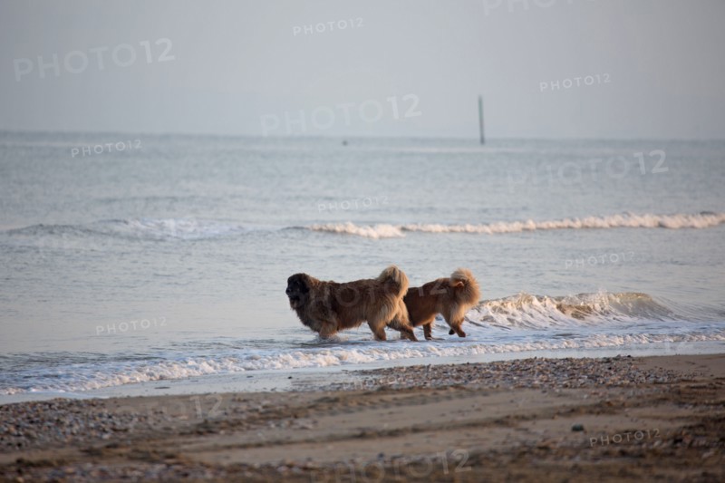 Deauville hors saison