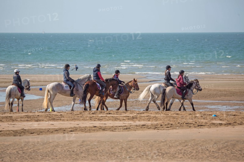 Villers-sur-Mer, chevaux et poneys sur la plage