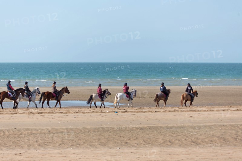 Villers-sur-Mer, chevaux et poneys sur la plage