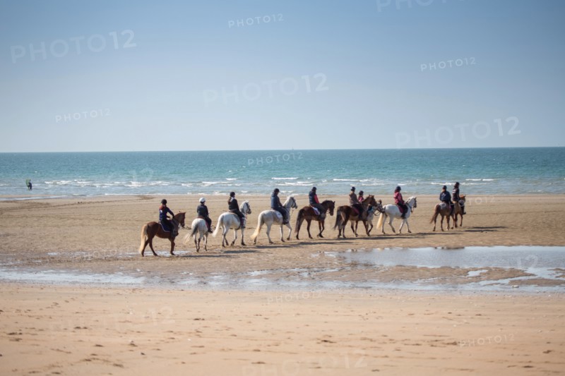 Villers-sur-Mer, chevaux et poneys sur la plage