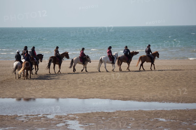 Villers-sur-Mer, chevaux et poneys sur la plage