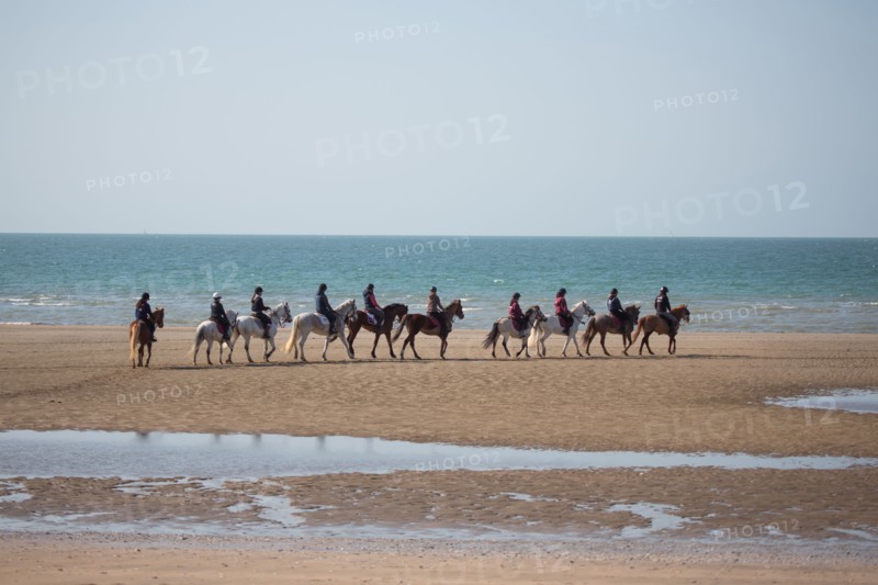 Villers-sur-Mer, chevaux et poneys sur la plage