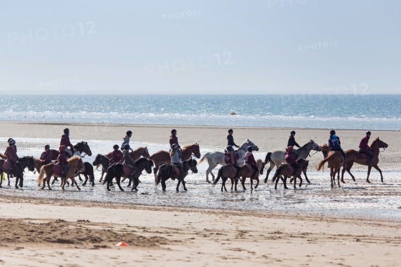 Villers-sur-Mer, chevaux et poneys sur la plage