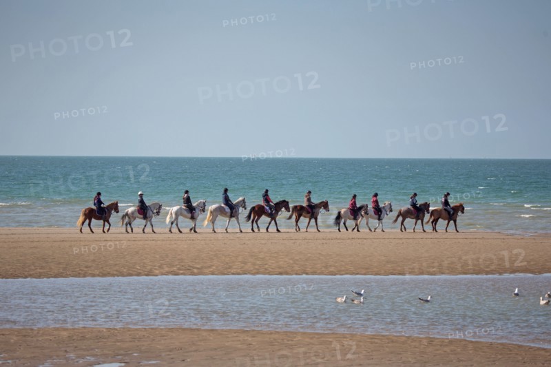 Villers-sur-Mer, chevaux et poneys sur la plage