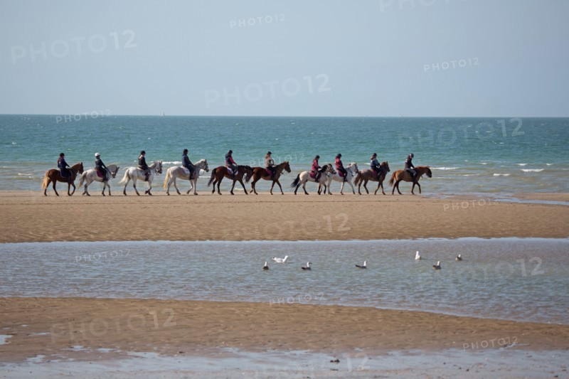 Villers-sur-Mer, chevaux et poneys sur la plage