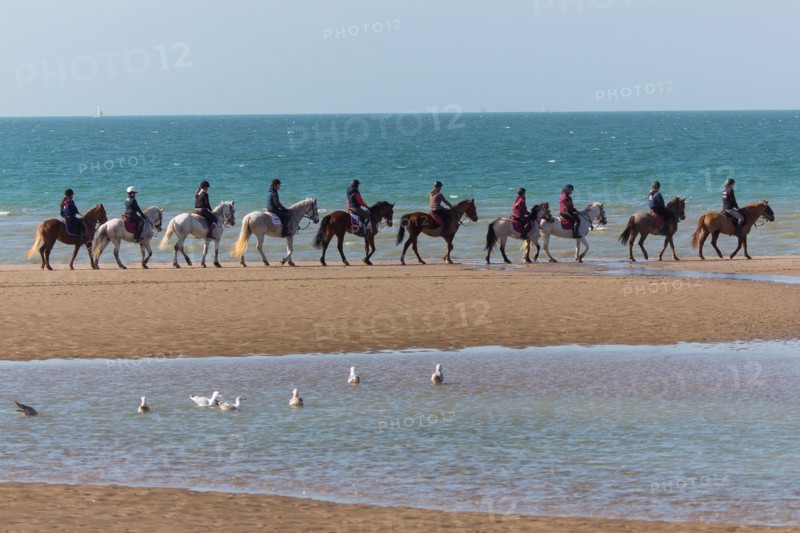 Villers-sur-Mer, chevaux et poneys sur la plage