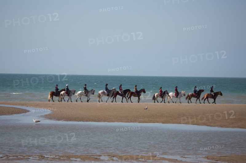 Villers-sur-Mer, chevaux et poneys sur la plage