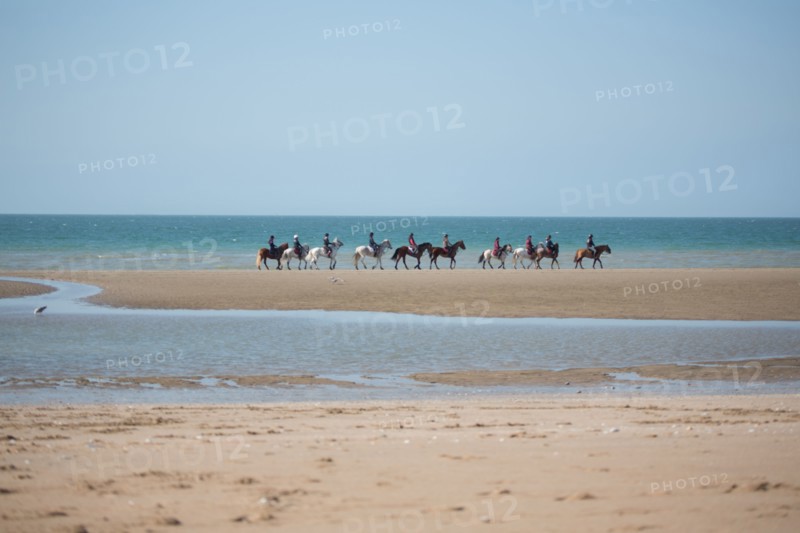 Villers-sur-Mer, chevaux et poneys sur la plage