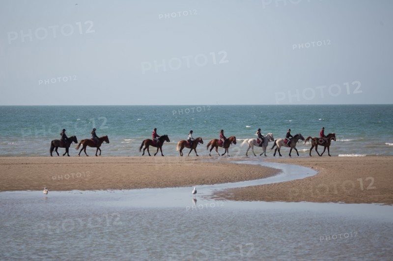Villers-sur-Mer, chevaux et poneys sur la plage