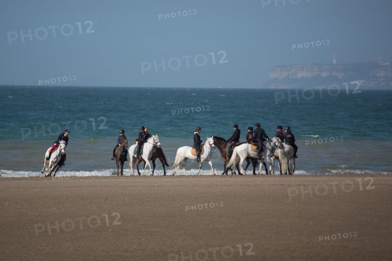 Villers-sur-Mer, chevaux et poneys sur la plage