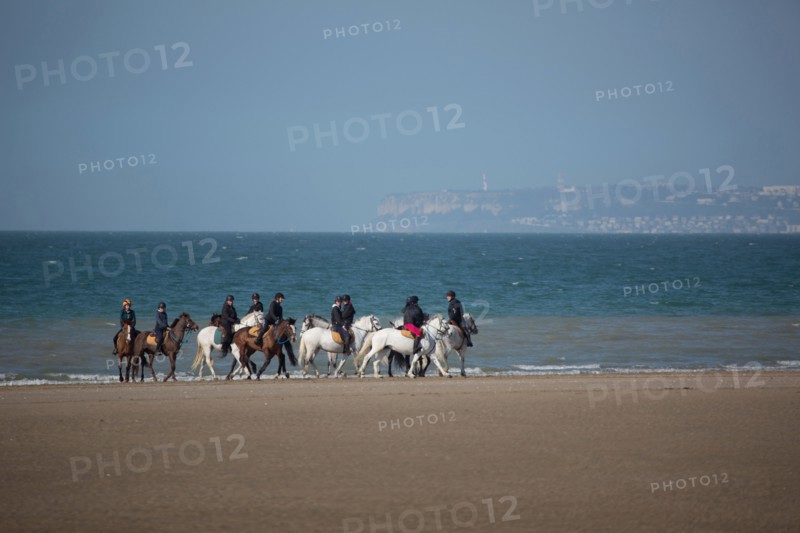 Villers-sur-Mer, chevaux et poneys sur la plage