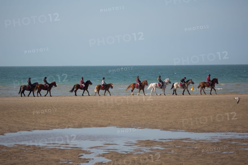 Villers-sur-Mer, chevaux et poneys sur la plage