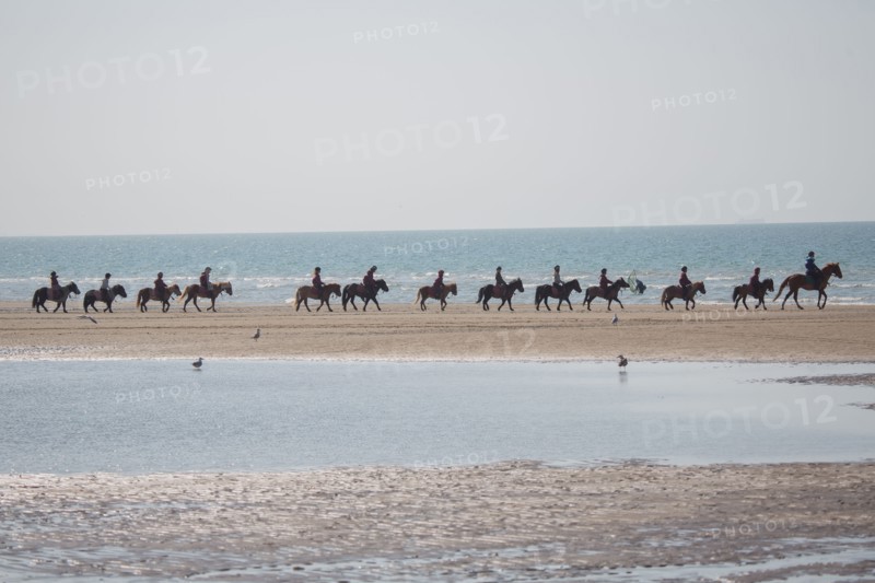 Villers-sur-Mer, chevaux et poneys sur la plage