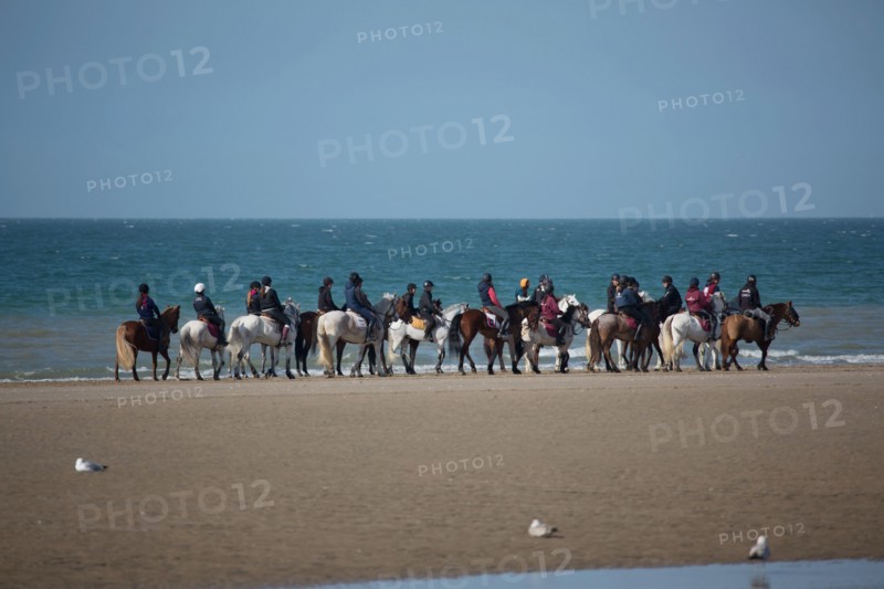 Villers-sur-Mer, chevaux et poneys sur la plage
