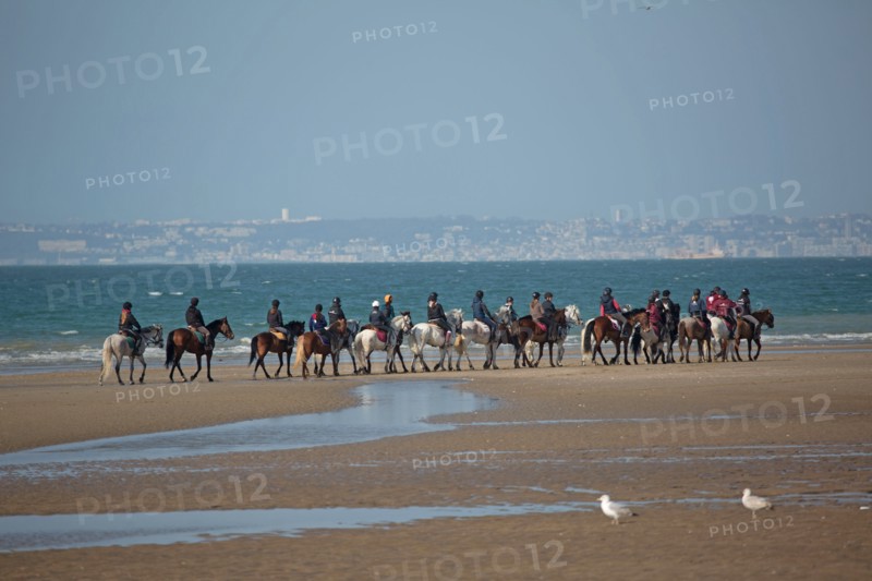 Villers-sur-Mer, chevaux et poneys sur la plage